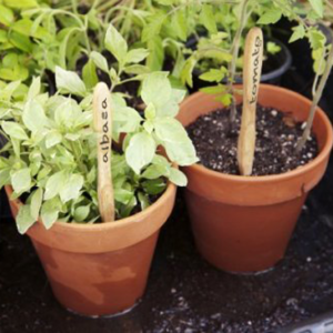 reciclar cepillos de bambú